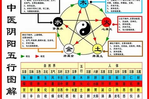 命 格 五行|如何查自己五行什么命 快速查自己的五行属性